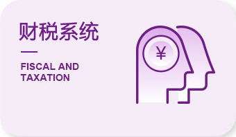 财税系统课程