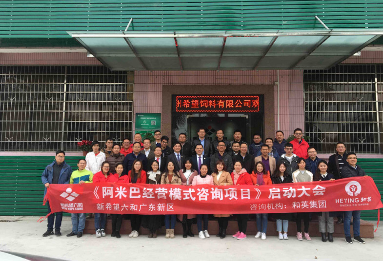 阿米巴经营模式